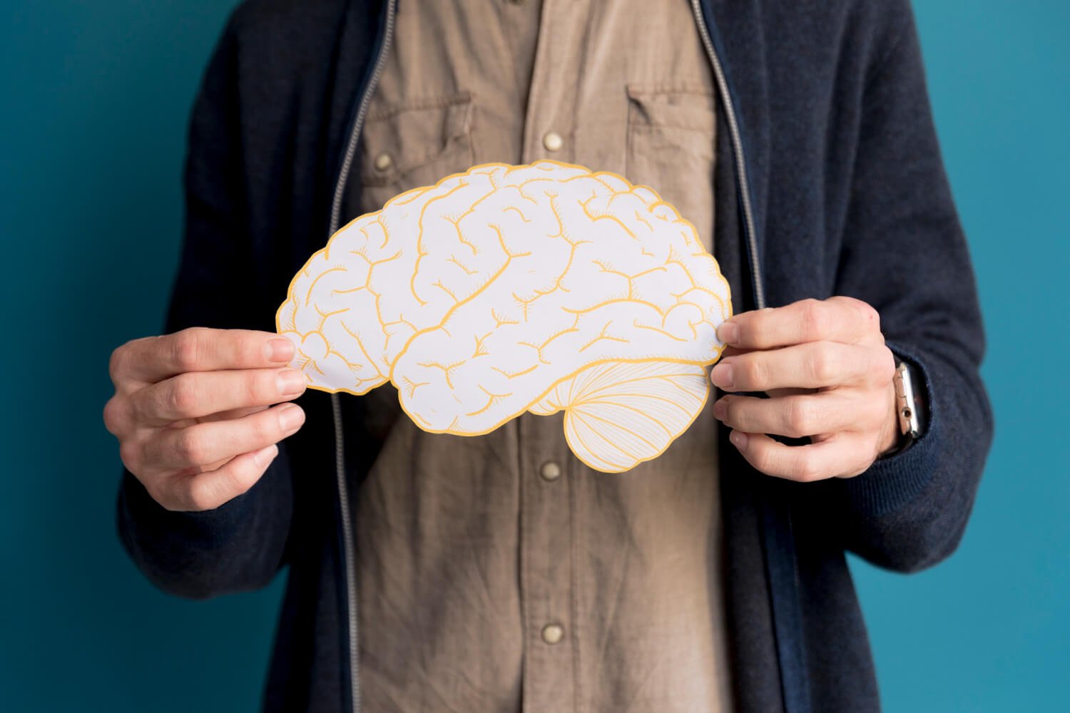 Neuroplasticidade: Desvendando a Capacidade do Seu Cérebro de se Transformar